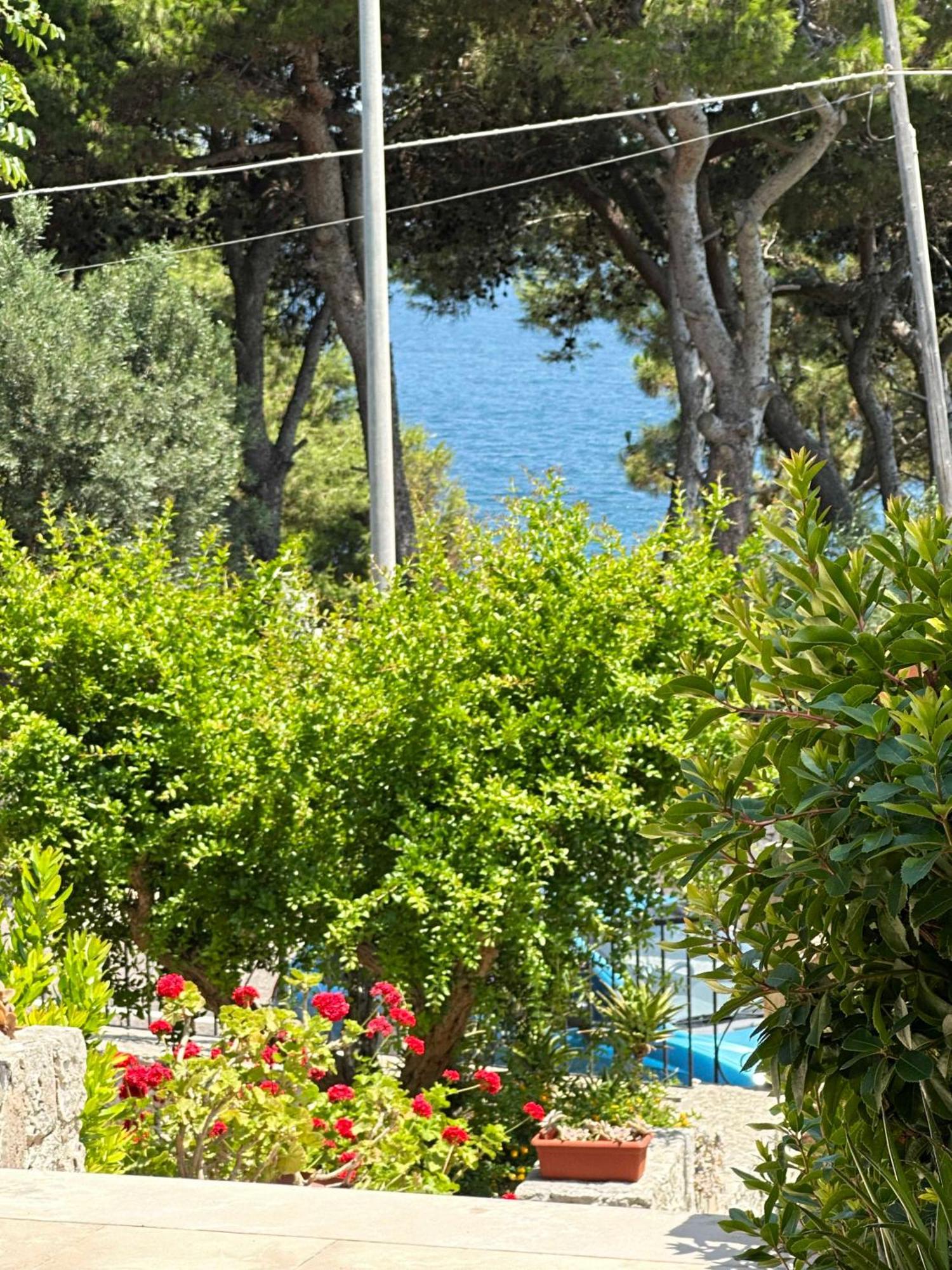 Villetta Dagre Fronte Mare Marittima Exterior photo